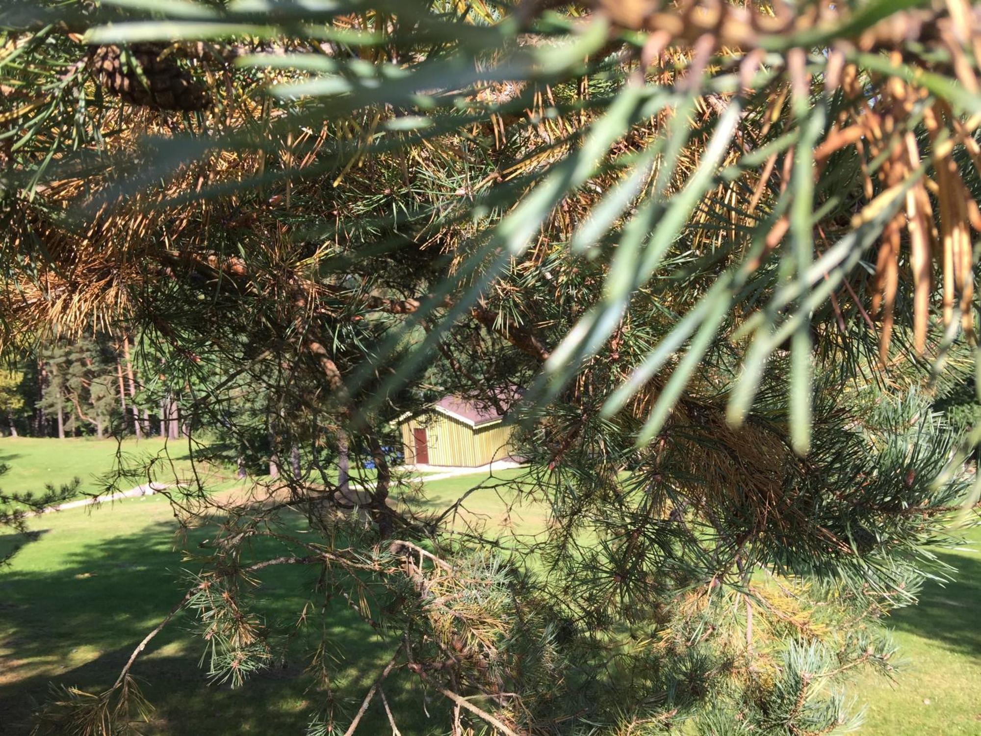 Kaimo Turizmo Sodyba Geras Leliunai Esterno foto